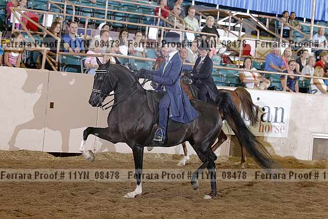Proof 11yn_08478