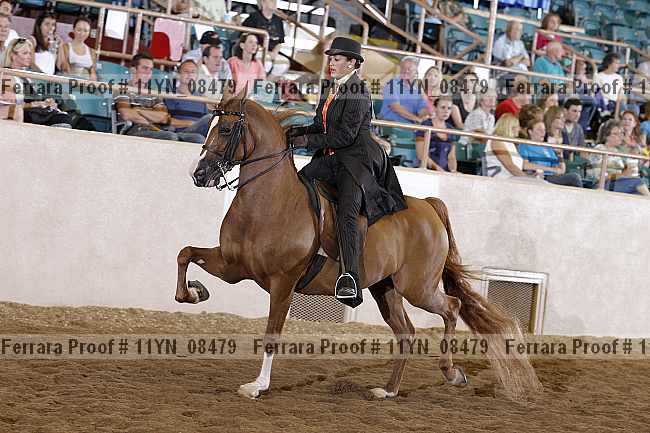 Proof 11yn_08479