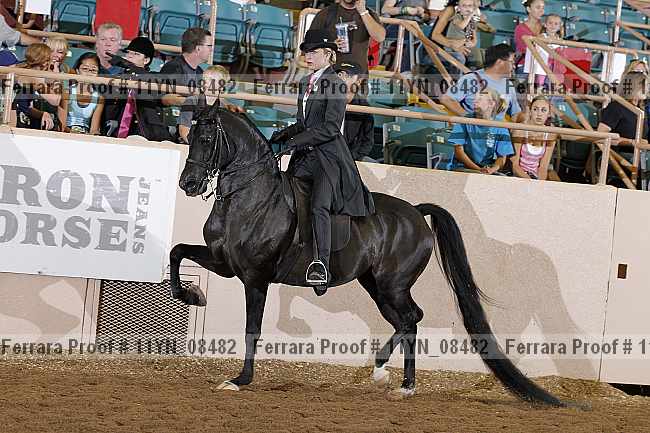 Proof 11yn_08482