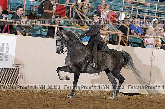 Proof 11yn_08483