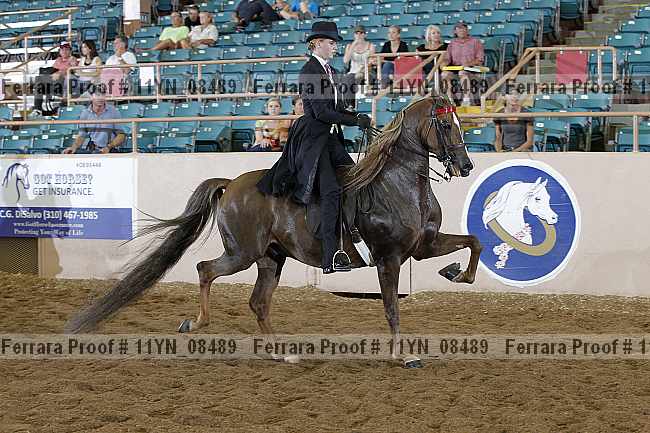Proof 11yn_08489