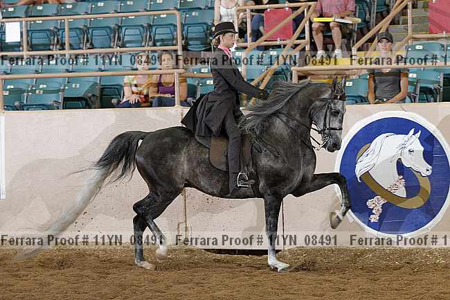 Proof 11yn_08491