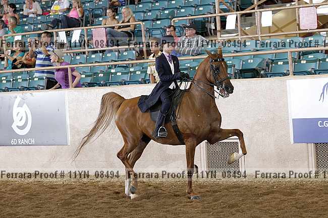 Proof 11yn_08494