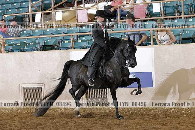 Proof 11yn_08496