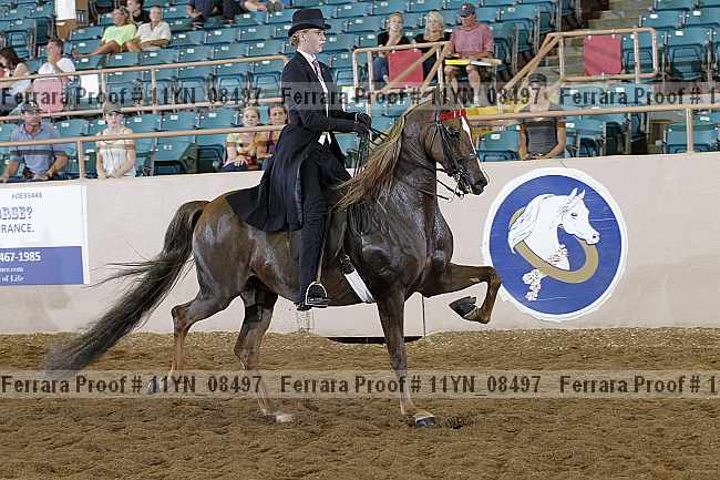 Proof 11yn_08497