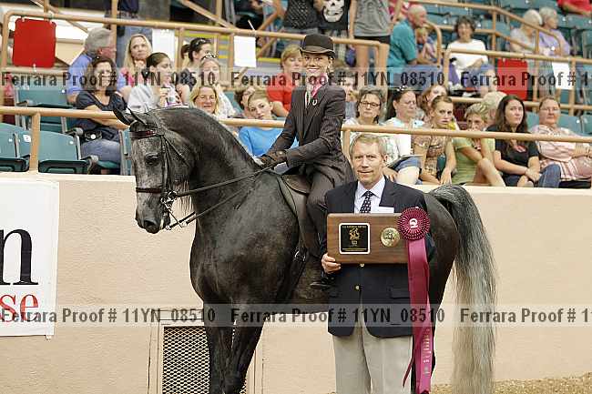 Proof 11yn_08510