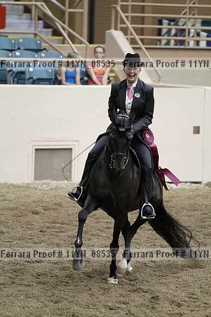 Proof 11yn_08535