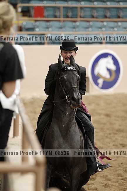 Proof 11yn_08536