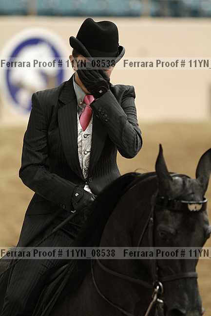 Proof 11yn_08538