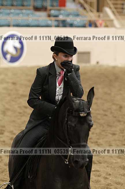 Proof 11yn_08539