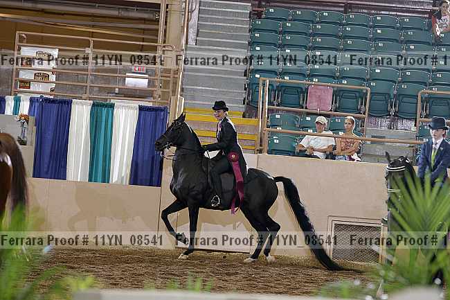 Proof 11yn_08541