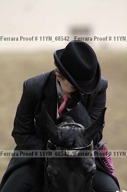 Proof 11yn_08542