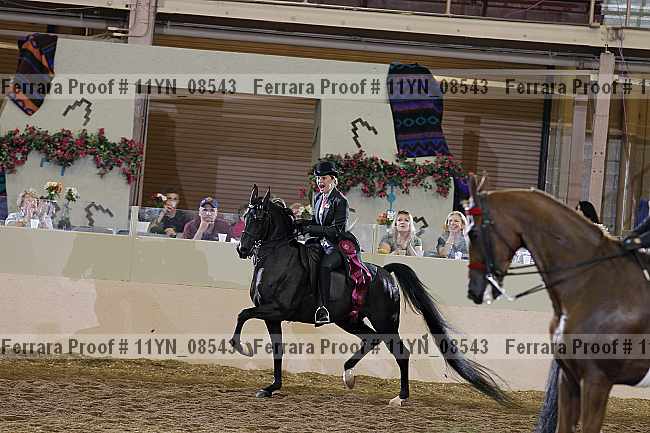 Proof 11yn_08543