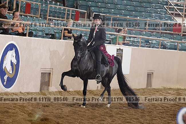 Proof 11yn_08546