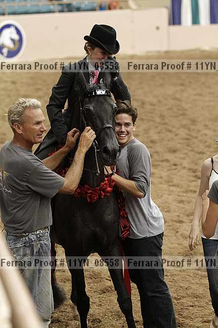 Proof 11yn_08558