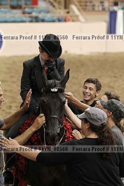 Proof 11yn_08560