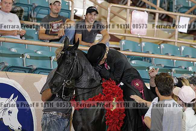Proof 11yn_08573