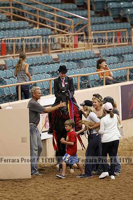 Proof 11yn_08575