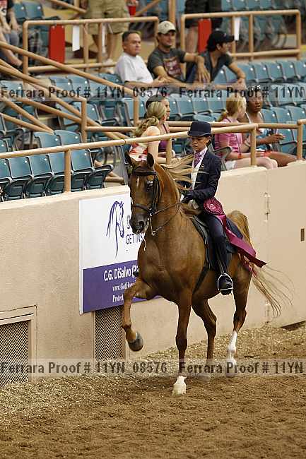 Proof 11yn_08576