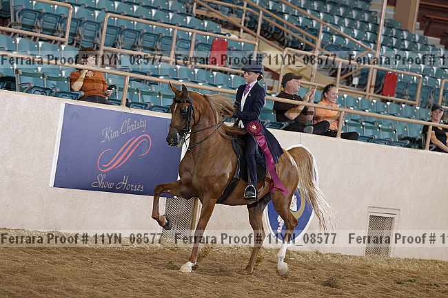 Proof 11yn_08577