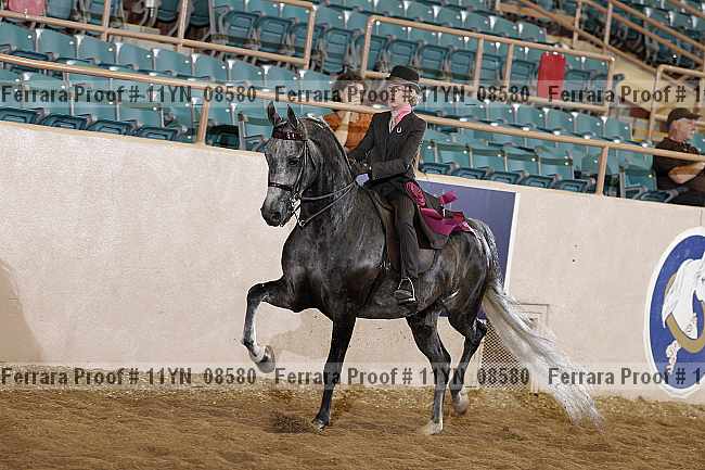 Proof 11yn_08580