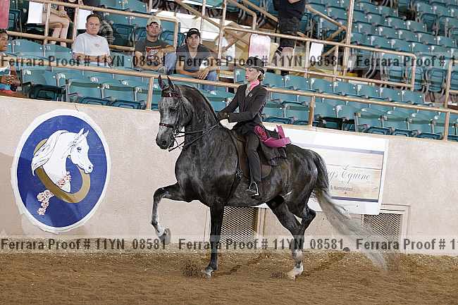 Proof 11yn_08581