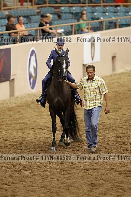Proof 11yn_08582
