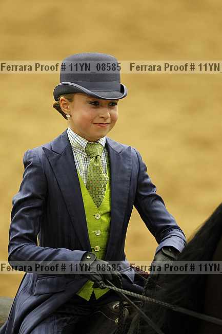 Proof 11yn_08585