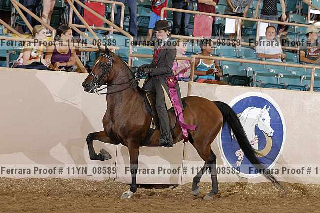 Proof 11yn_08589