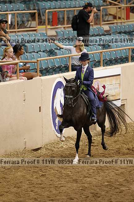 Proof 11yn_08590