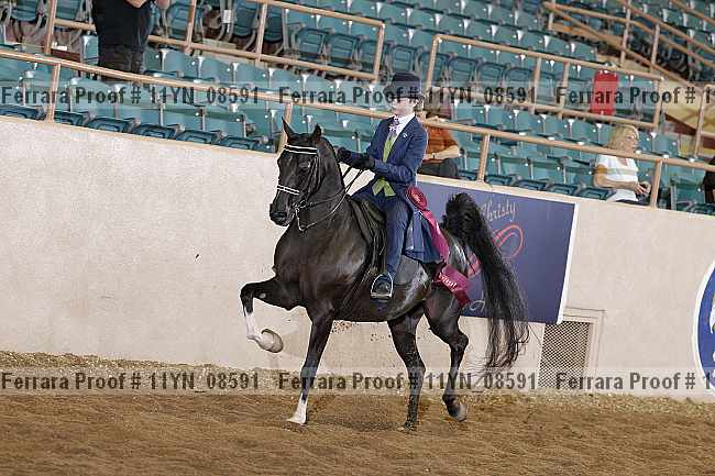Proof 11yn_08591