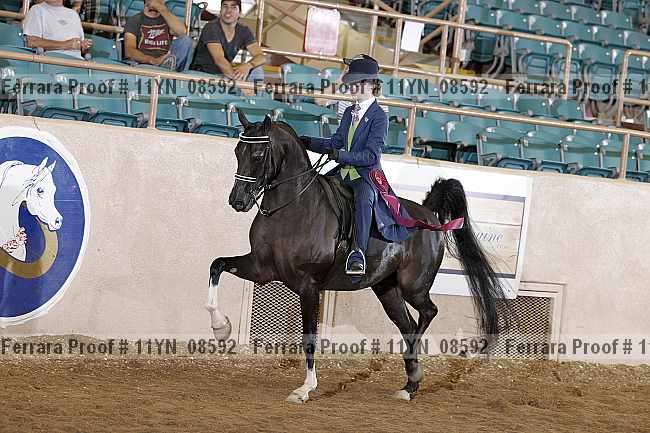 Proof 11yn_08592