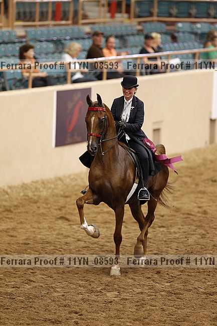Proof 11yn_08593