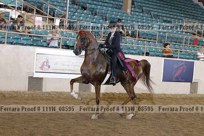 Proof 11yn_08595