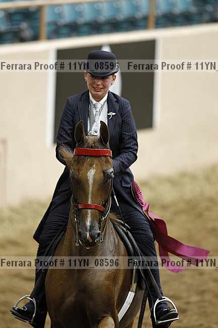 Proof 11yn_08596
