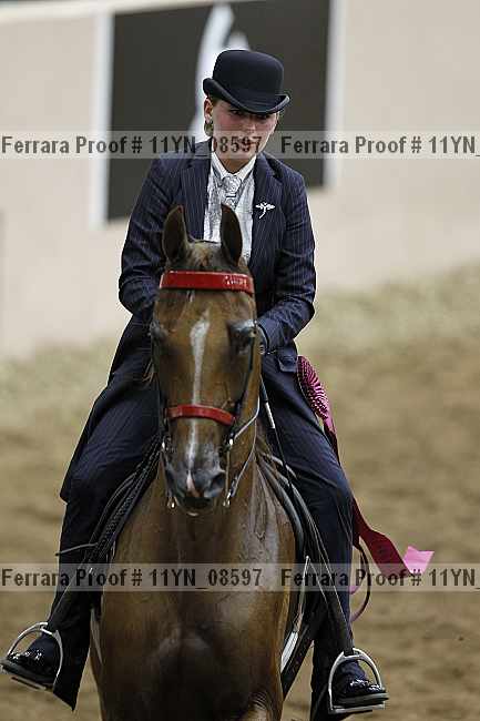 Proof 11yn_08597