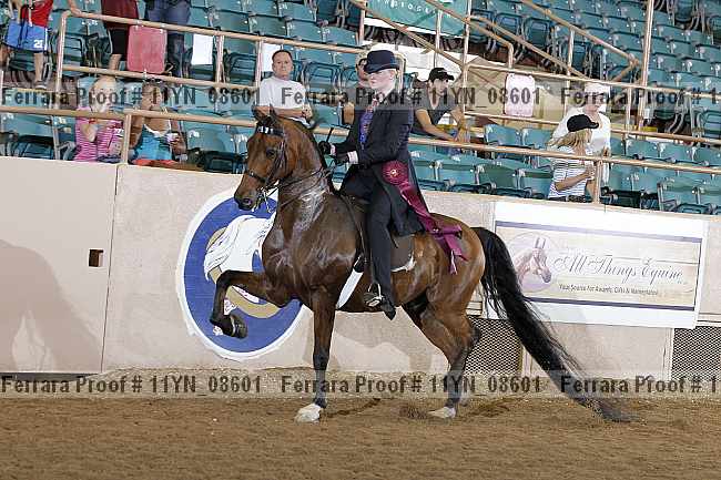 Proof 11yn_08601