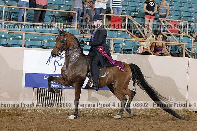 Proof 11yn_08602