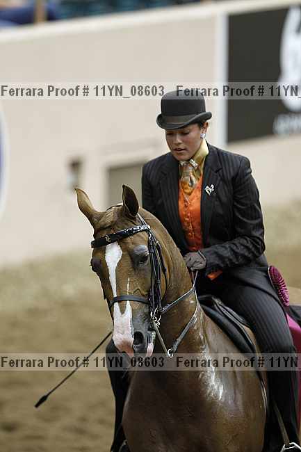 Proof 11yn_08603