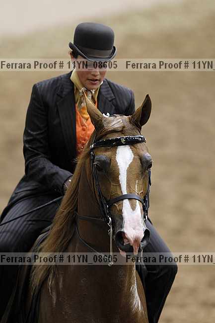 Proof 11yn_08605