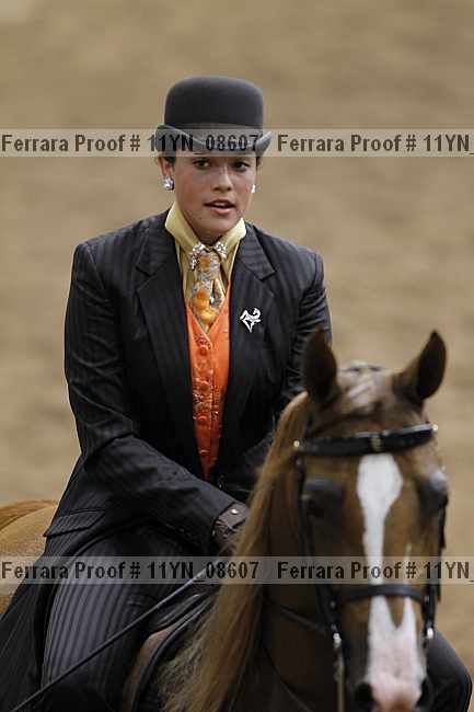 Proof 11yn_08607