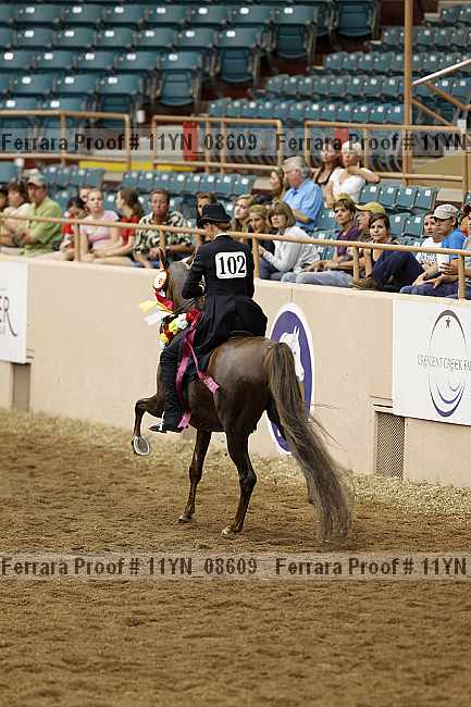 Proof 11yn_08609