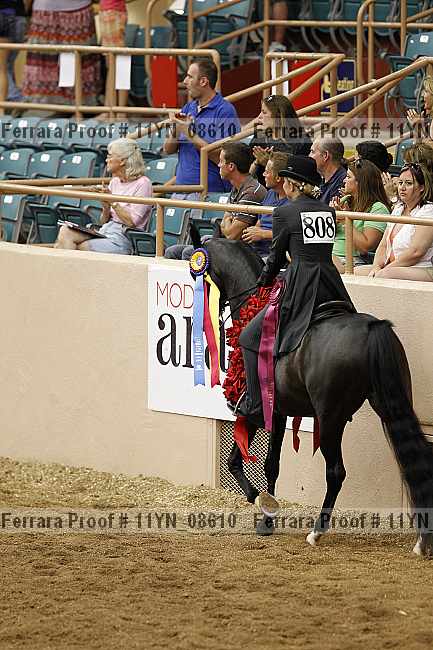 Proof 11yn_08610