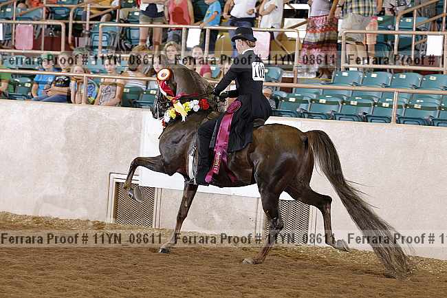 Proof 11yn_08611