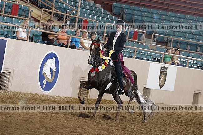 Proof 11yn_08614
