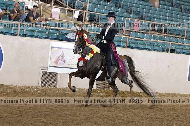 Proof 11yn_08615
