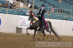 11yn_08615 proof