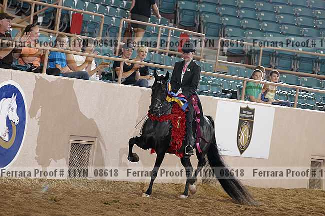 Proof 11yn_08618