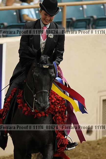 Proof 11yn_08624
