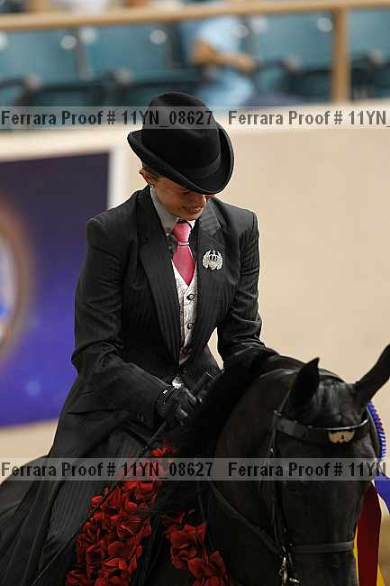 Proof 11yn_08627